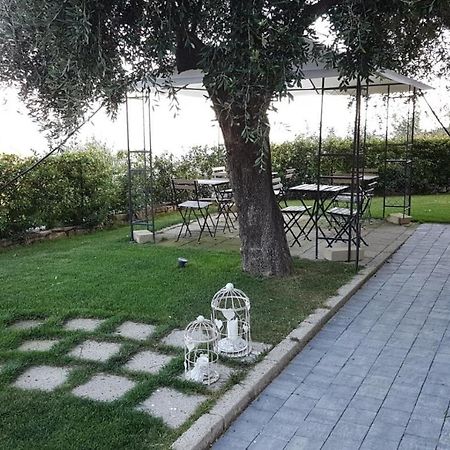 Aurivu Villa Vallebona ภายนอก รูปภาพ